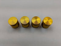 1" Gold Standoff Bolts For Acrylic Frame