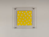 6x6 Acrylic Frame Easy-Hang Square With Standoff Bolts